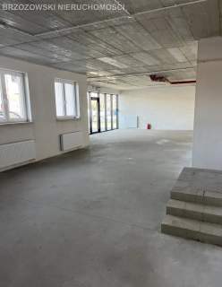 Marysin Wawerski, 108 m2,handlowy,usługowy, 2022 r