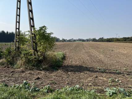 Działka rolno-budowlana 0,62 ha w Gołębiu k/Puław.