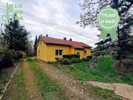 Dom w Kutnie w cenie mieszkania, Działka ok 2500 m2