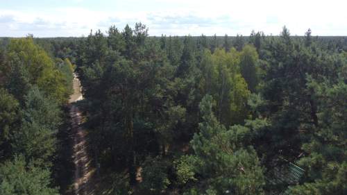 Działka 800 m2 w Woli Chodkowskiej Warszawa 85 km.