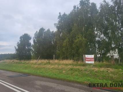 Duża działka z linią brzegową jeziora