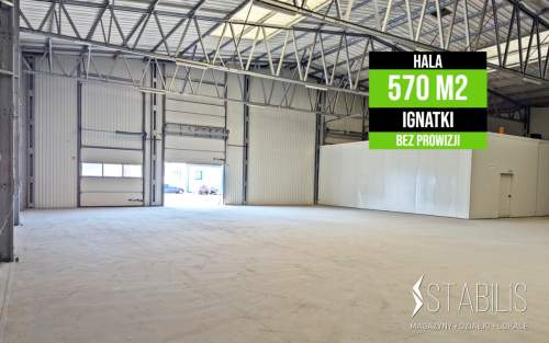 Magazyn / 570 m2 / IGNATKI