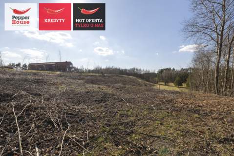 Michalin Działka 10 079 m MPZP 27MN jezioro