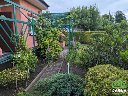 Jagodowo działka ROD 284/35m2 domek murowany las