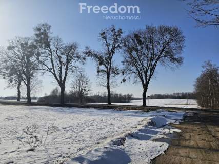 14,2 ha ziemi rolnej 2 działki Pudwągi