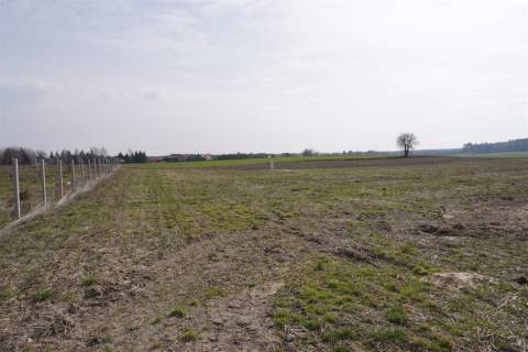 DZIAŁKA BUDOWLANA BODUSZEWO