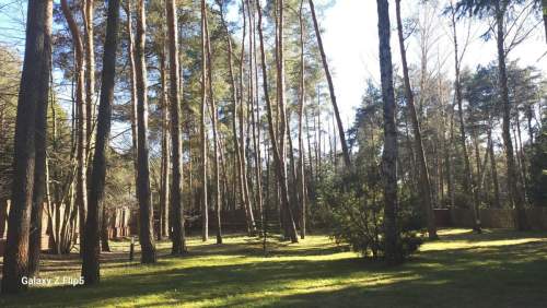 Przestronny dom Konstancin starodrzew