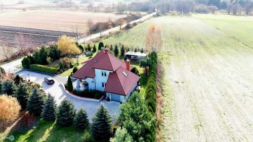 Zielona, spokojna okolica blisko lasu