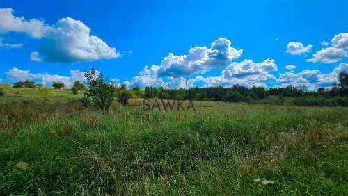 Działka budowlana na sprzedaż, 1601 m2, Gostchorze