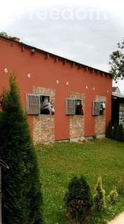 Piękna Stadnina Ośrodek treningu koni sportowych.