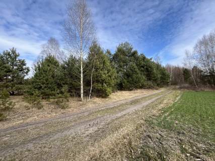 Działka o pow. 1,63 ha w Karolowie gm. Chotcza.