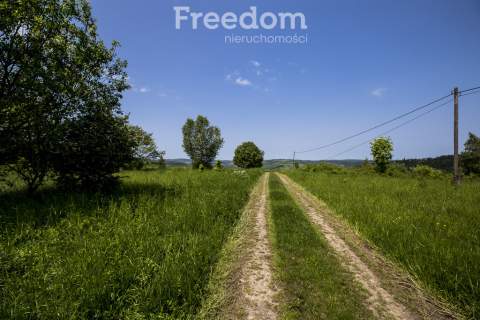 1,38 ha pod siedlisko, działka widokowa
