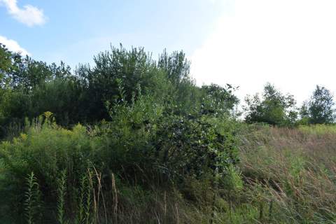 Działka rolna 27a - Hermanowa