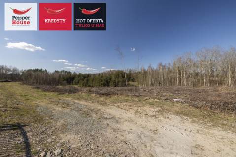 Michalin Działka 3000 m MPZP 27MN jezioro