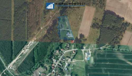 Posiadłość, dom 232m, 1,25ha działka - Trzebcz