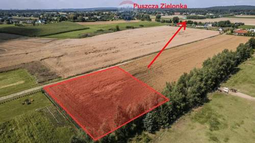 Kicin k/Poznania 3007 m idealna pod dom