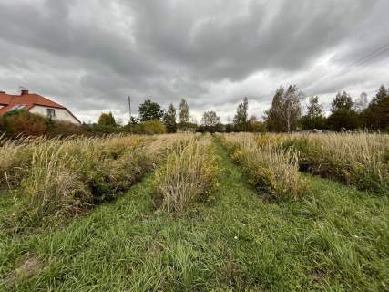 Działka 22 MN 1072 m2 w Końskowoli gm. Puławy.
