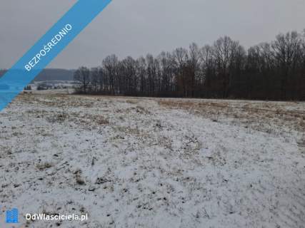 16 ha ziemi Gorzanów