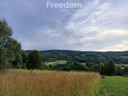 1,38 ha pod siedlisko, działka widokowa