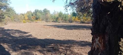 Nie chcesz nie kupuj Dalej mieszkaj w głośnej i śmierdzącej