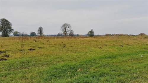 Samoklęski kol. Pierwsza - działka rolna