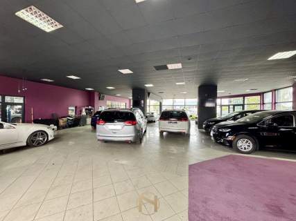 Lokal użytkowy do wynajęcia, 500 m2, Gorzów Wielkopolski