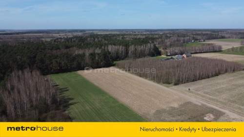 Działki budowlane, Kazimierz, natura