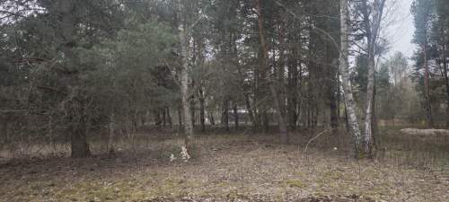 Wyjątkowa działka przy lesie 1500mkw