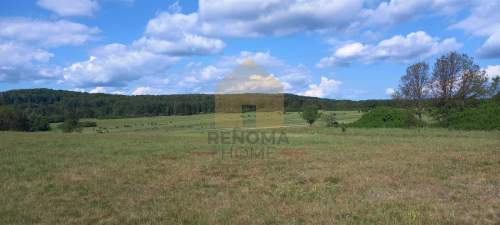 Działka rekreacyjna/Myślinów/2 ha