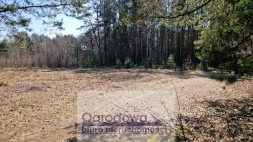 Działka przy lesie