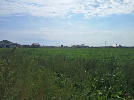 Uzbrojona działka. Gm. Puchaczów