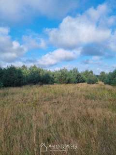 Działka 4000 m2 Smołdzino- idealna lokalizacja