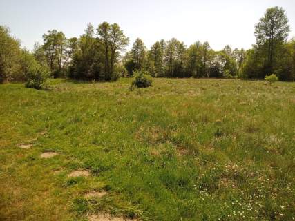 Działka nad rzeką