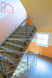 Mieszkanie do wynajęcia, 51 m2, Ostrów