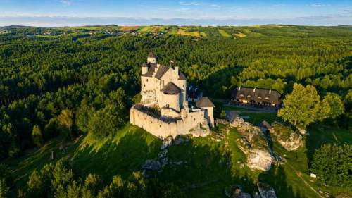 Kotowice siedlisko Jura Krakowsko-Częstochowska