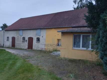 Gospodarstwo rolne ze stawem