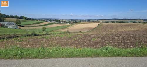 Koszyce,Rachwałowice,Działki 1,2142haROLNE