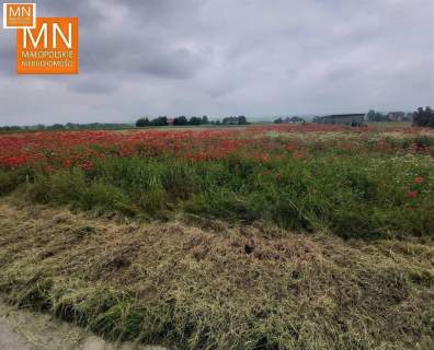 Budowlana z projektem i mediami,12a,Koniusza,