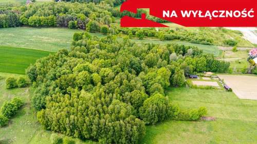 3 działki rolne na sprzedaż Skrzyszów 1,56 ha