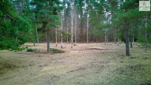 Działki rekreacyjne Jezioro Maróz, otulina lasu
