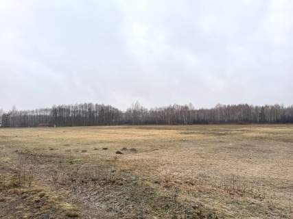 Działka inwestycyjna przy A4, Sędziszów Małopolski