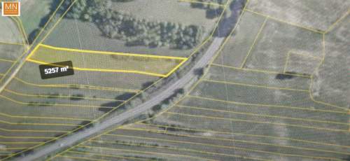 Koszyce,Rachwałowice,Działki 1,2142haROLNE