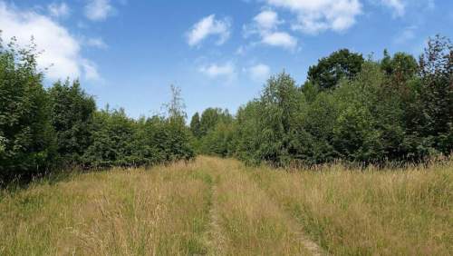 Kudowa-Zdrój, budowlana, 2404 m2, media