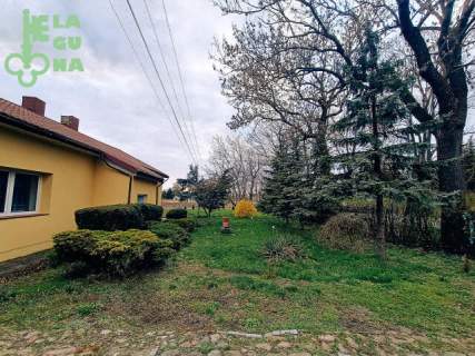 Dom w Kutnie w cenie mieszkania, Działka ok 2500 m2