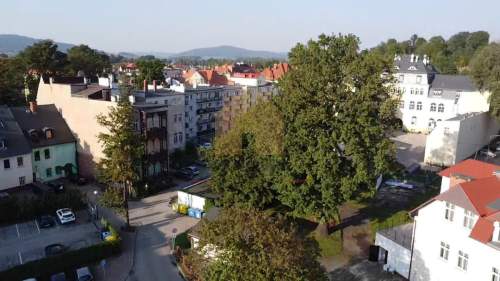 Mieszkanie lokal użytkowy zaplecze garaż