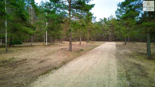 Działki rekreacyjne Jezioro Maróz, otulina lasu