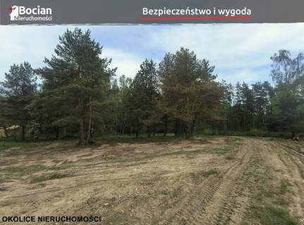 Kompleks działek w otulinie lasu- Dobrzewino 