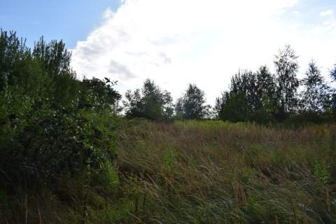 Działka rolna 27a - Hermanowa