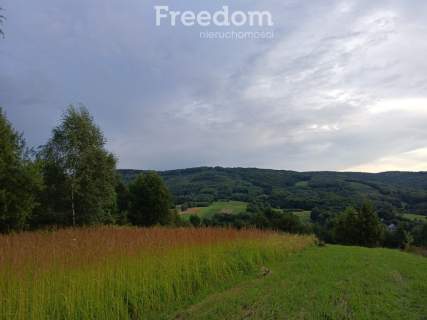 1,38 ha pod siedlisko, działka widokowa