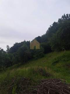 Dom do remontu w Lasocinie, Góry Sowie